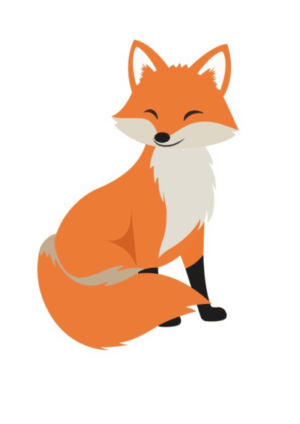 GILMFUCHS 4C E1756921801281