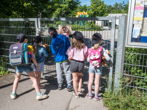 Programm schulhoftor